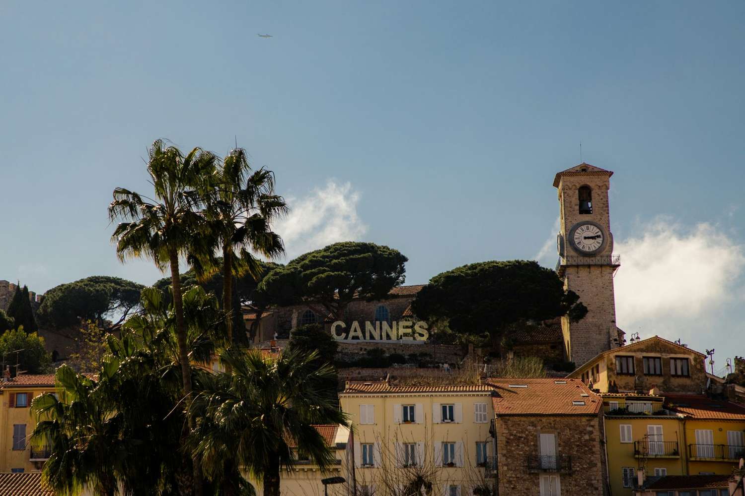 The Cannes red carpet